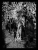 wk_ostfried_04