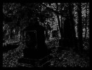 wk_ostfried_09