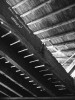 img_0097