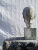 img_0775