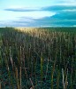 panorama_radtour300813b